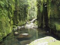 Bras Sec - Île Réunion