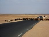 escalade hoggar 11 10 au 3 11 07  2 083