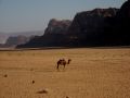 Jordanie 2008 011