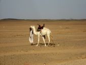 escalade hoggar 11 10 au 3 11 07  2 084